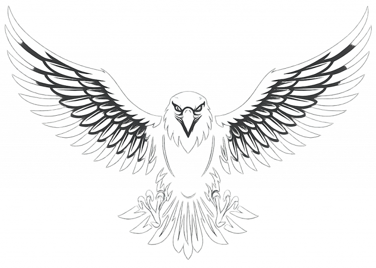 White eagle with widespread wings in black outline on transparent background